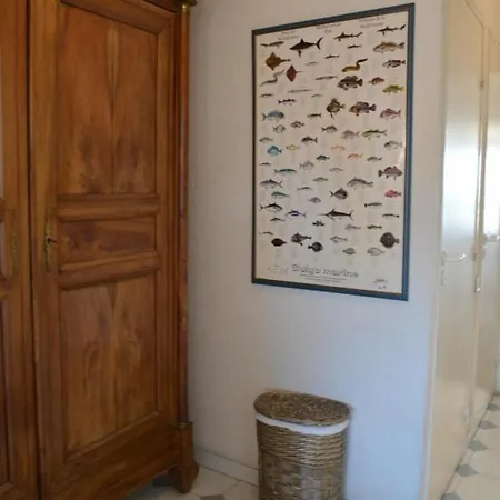 Port Vauban Apartment Antibes